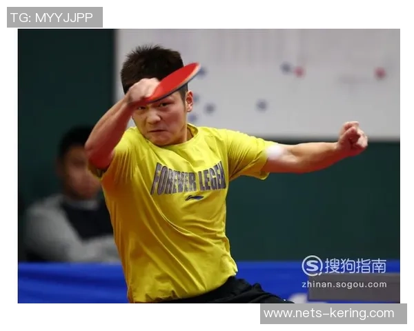 从零基础到高手之路乒乓球技巧与心态全面提升指南 从零基础到高手之路乒乓球技巧与心态全面提升指南